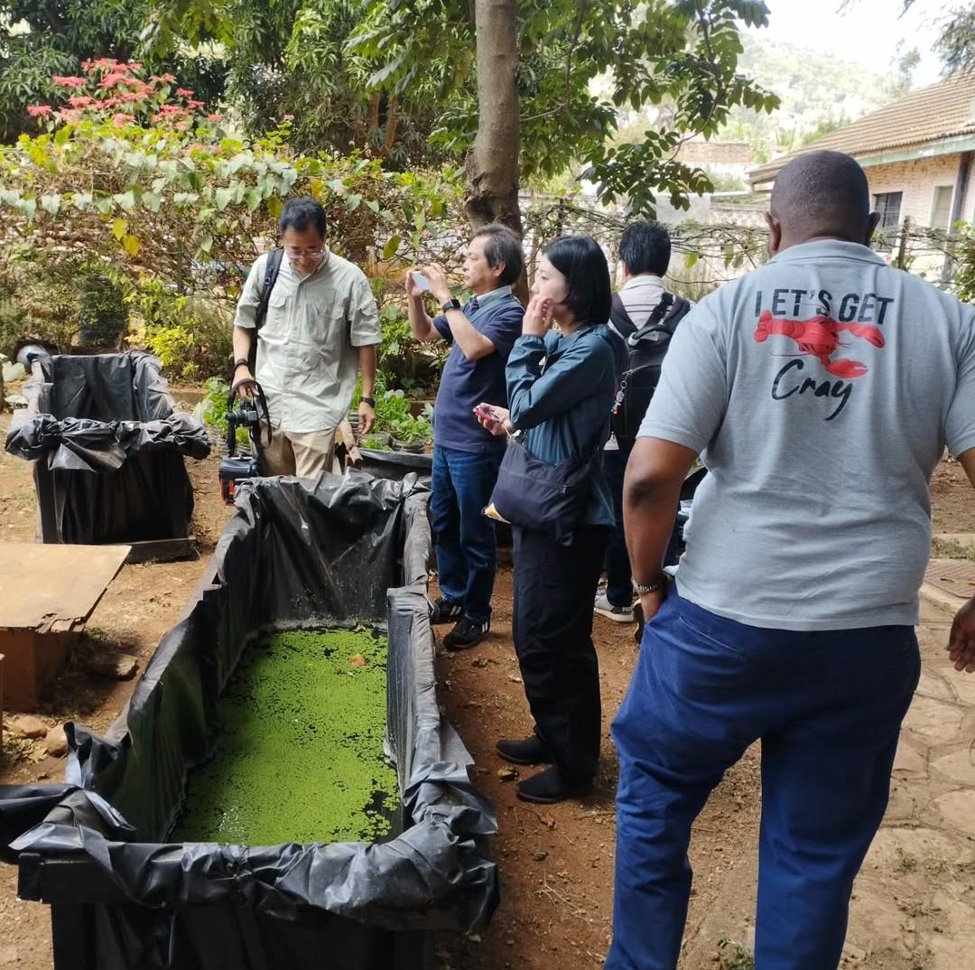 Training and capacity building in aquaculture